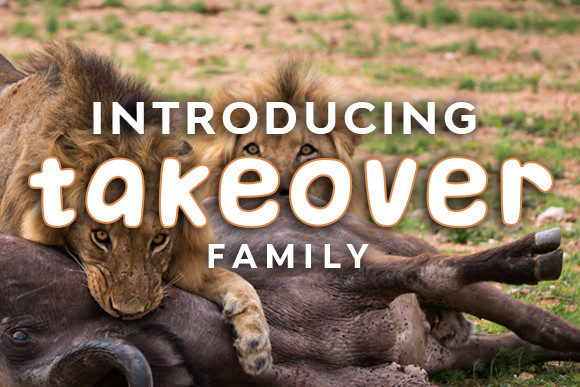 Takeover Font: Bold Branding for Small Business